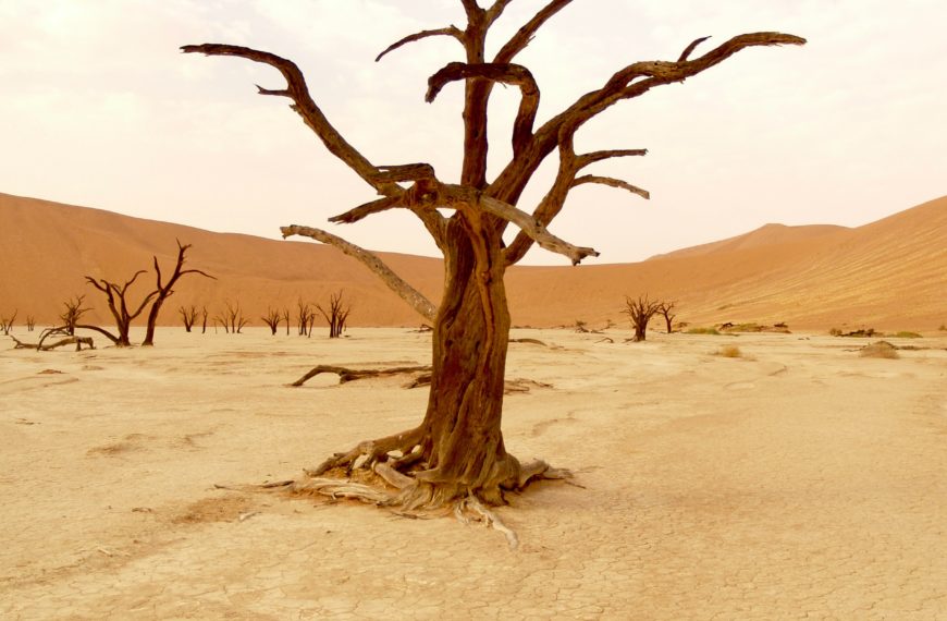 Blind hopes for children’s participation in climate change