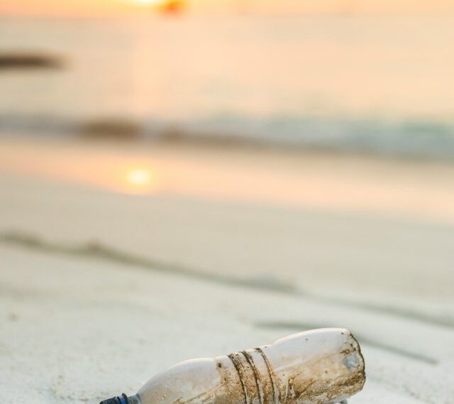 Single-Use Plastic Eradication: Are Women the Key?