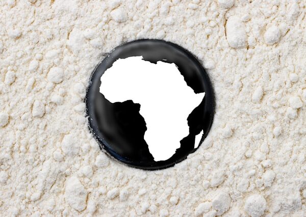The Message Communicated to African Regionalisation Following the Creation of the Alliance of Sahel States-AES