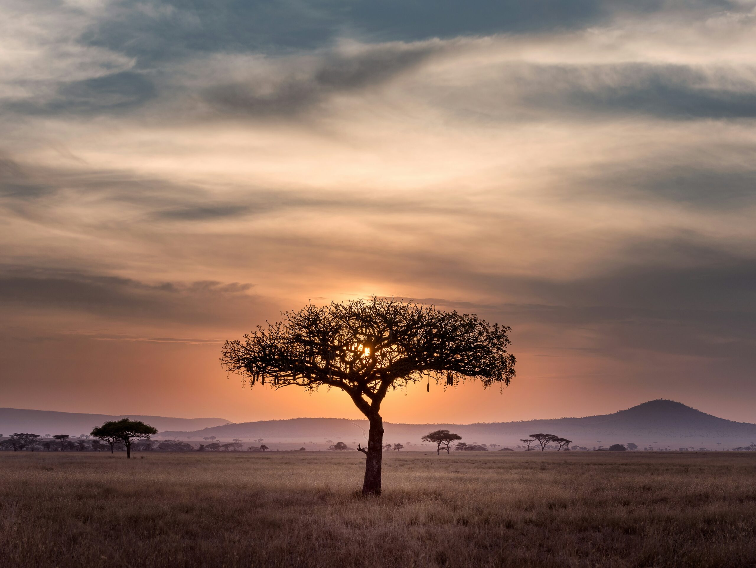 Imagining an “Afrocentric future” of international law: Observations on emerging&hellip;